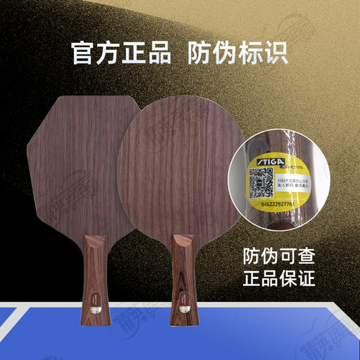 【送3星球】Stiga斯帝卡命运碳素乒乓球拍底板斯蒂卡命运碳素5+2外置碳素进攻型乒乓底板 商品图3