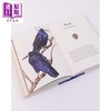 预售 【中商原版】鸟之书 奇妙与失落的野外指南 The Book of Birds A Field Guide to Wonder and Loss 英文原版  Robert Macfarlane  商品缩略图3