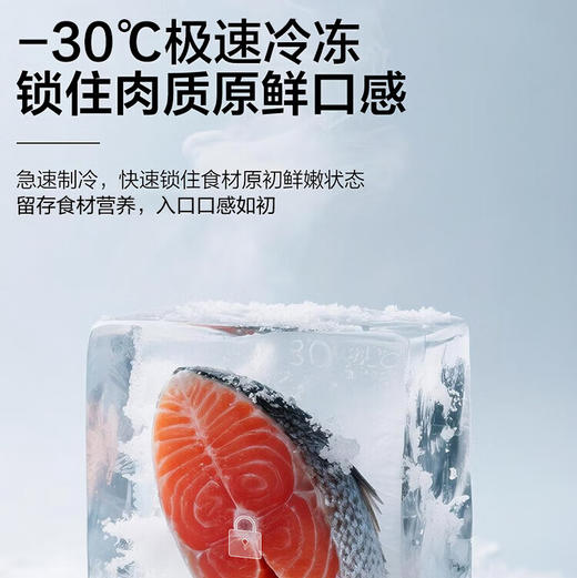 海尔（Haier）冰箱 BCD-505WGHTD1BNXU1 商品图12