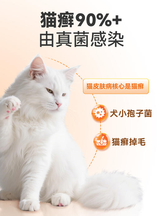 普安特猫藓外用药猫咪真菌感染专用特效药皮肤病硝酸咪康唑喷雾剂 商品图1