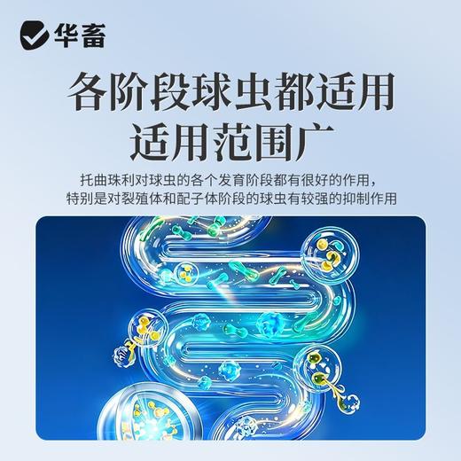 华畜兽药托曲珠利溶液球虫清兽用鸡鸭鹅家禽专用抗球虫药肠炎血便 商品图1