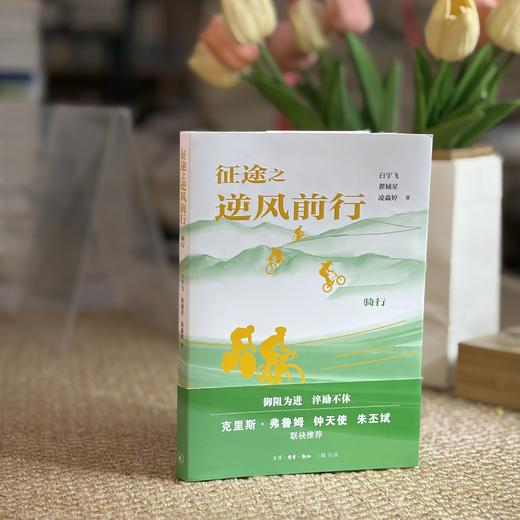 征途之逆风前行：骑行 商品图4