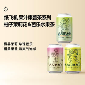 企鹅市集|纸飞机酿造 香格里拉苹果铁观音康普茶 / 杨桃芭乐康普茶