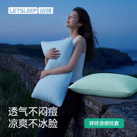 [屁侠推荐]绘睡 呼呼凉感枕套 48*74cm *2个 凉而不冰 持久凉爽 A类母婴级标准