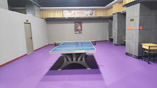 富顺益智乒乓球白天.人/时段（上午9:00-11:30，下午2:00-5:30） 商品图3