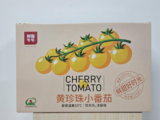 2026 黄珍珠小番茄 当季鲜果 现摘现发 商品图7