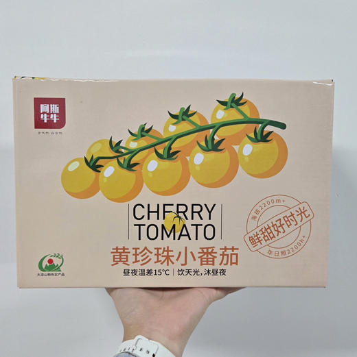 2026 黄珍珠小番茄 当季鲜果 现摘现发 商品图6
