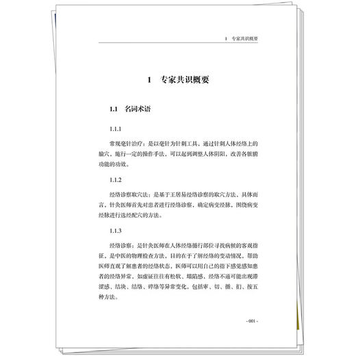 多民族医针灸治疗专家共识:中风后肩-手综合征 周炜 一部汇集中医等多民族医学专家智慧的权威性临床指导专著 中国中医药出版社 商品图4