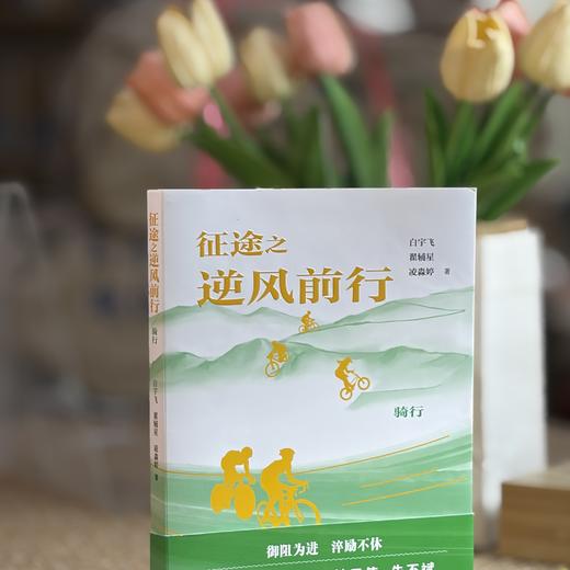 征途之逆风前行：骑行 商品图5