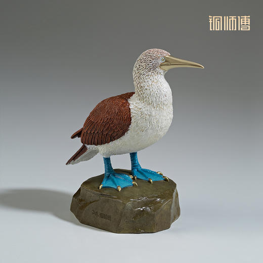 铜师傅 铜摆件《铜师傅百鸟集》之蓝脚鲣鸟 家居饰品 桌面摆件 商品图1