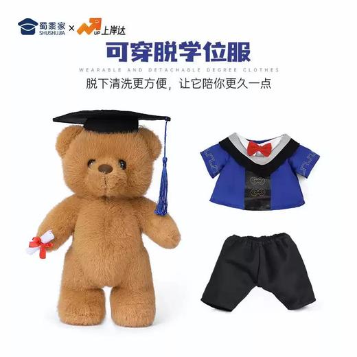 【毕业小熊】可定制学士/硕士/博士毛绒公仔玩具礼盒装文科/理科/工科/医科/农科/军科小熊玩偶送礼摆件 商品图3