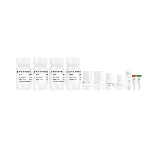 VAMNE Magnetic Universal Plant Total RNA Kit (Prepackaged) 商品图0