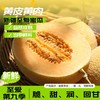 【自营】新疆至爱哈密瓜 （多规格任选） 商品缩略图0