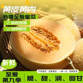 【自营】新疆至爱哈密瓜 （多规格任选）