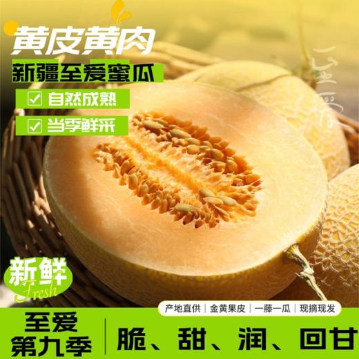 【自营】新疆至爱哈密瓜 （多规格任选） 商品图0