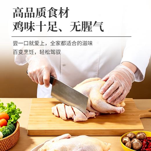 【私域专享】广东清远鸡 山地散养 杂粮喂养 权威检测 人工宰杀 鸡味十足 商品图3