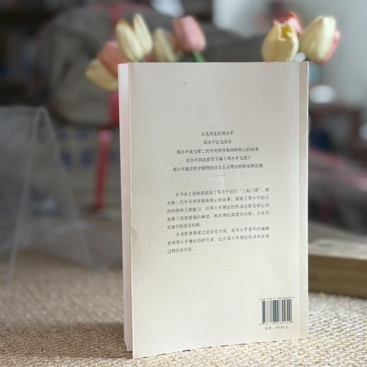 历史的选择：邓小平与他的时代 商品图8