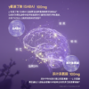 【专研升级！新品买1送2】【优美达·灵芝百合晚安饮】睡前一袋，标本兼修，静享好夜(10袋/罐) 商品缩略图4