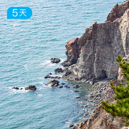 大连轻徒步 | 夏季友好山海徒步线·黄渤海双海穿越·旅顺深度人文 5日 商品图10