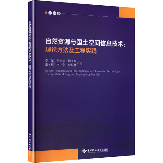 自然资源与国土空间信息技术理论方法及工程实践 商品图0