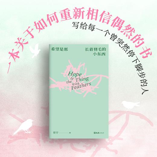 希望是那长着羽毛的小东西 商品图1