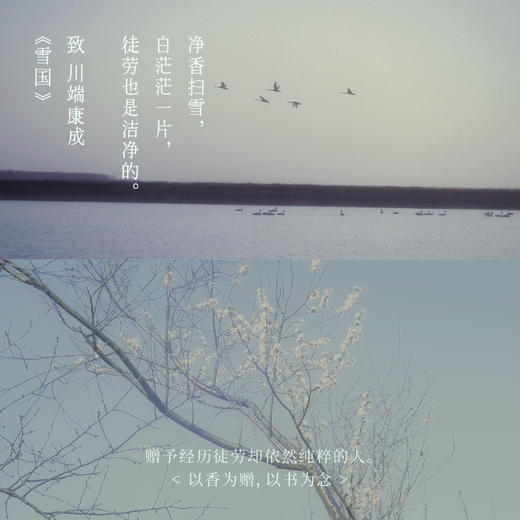 东方隐士线香礼盒 寐清净觉 | 10.5cm*30支 书香三径限定套组 空山时x中信联名 商品图5