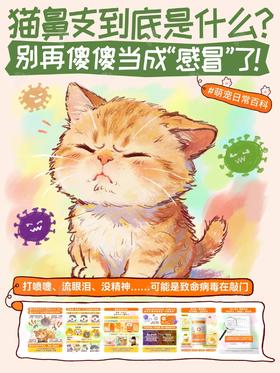 【普安特科普】😿猫鼻支不是感冒！速看普普教你科学应对