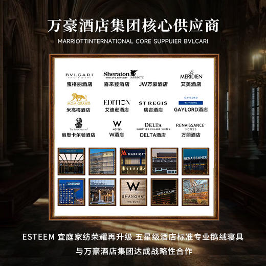 ESTEEM/宜庭金蝶信使全棉亲肤四件套床上用品套件【专柜同款】 商品图9