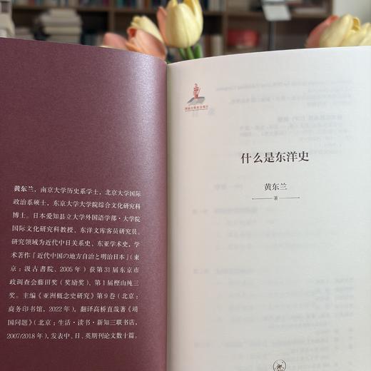 什么是东洋史 乐道文库 商品图9