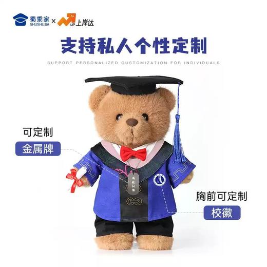 【毕业小熊】可定制学士/硕士/博士毛绒公仔玩具礼盒装文科/理科/工科/医科/农科/军科小熊玩偶送礼摆件 商品图1