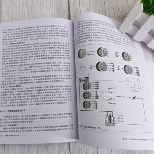 中药质量评价研究与应用 商品图2