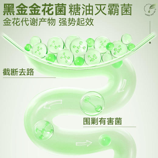 成分实验室金花黑茶5个口味可选21条/盒 商品图4