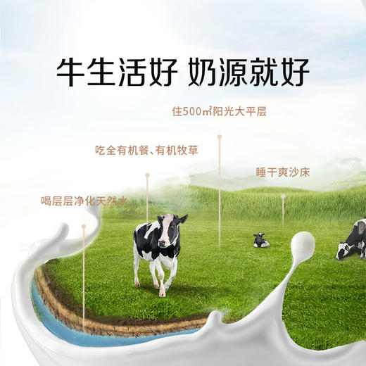 【特惠52.9】圣牧有机纯牛奶品醇全脂灭菌乳利乐苗条装200ml*12【保质期至2026/6/9】-专享价 商品图3