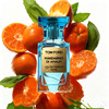 越南版本TF 阿玛菲柑橘 100ML 商品缩略图0