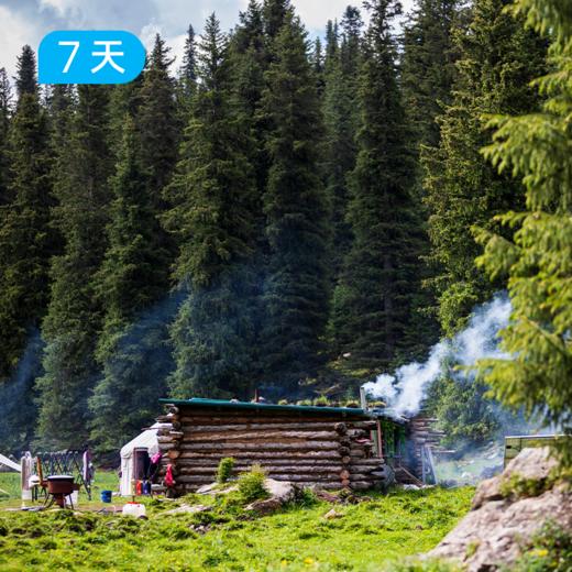伊犁夏牧场·限定小车团｜伊犁精华小环线 避开人潮的“抢跑”视角 深度解码全境森林湖泊与游牧烟火 7日 商品图1