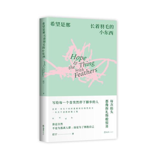 希望是那长着羽毛的小东西 商品图4