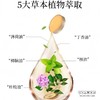 香港百年品牌【虎标万金油】5大草本植物萃取 提神醒脑、驱蚊止痒、开车必备 百年纪念版 商品缩略图2