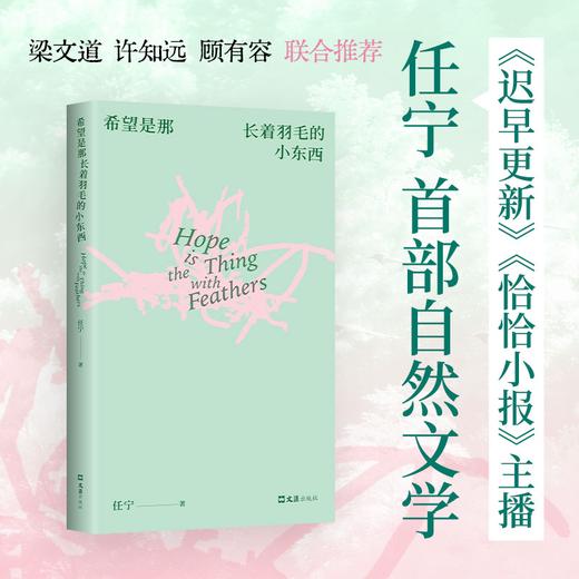 希望是那长着羽毛的小东西 商品图2