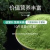 福东海有机羽衣甘蓝粉200g 高膳食纤维无添加营养食用代餐蔬菜粉 商品缩略图3
