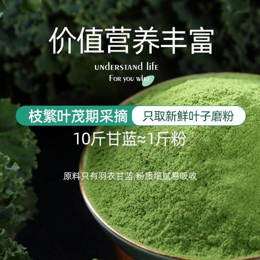福东海有机羽衣甘蓝粉200g 高膳食纤维无添加营养食用代餐蔬菜粉 商品图3