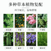 【专属】【买3送1】笙观相沐植护青蒿洗发水 多种植物复配 专利、进口成分  多效合一 蓬松柔顺 商品缩略图2