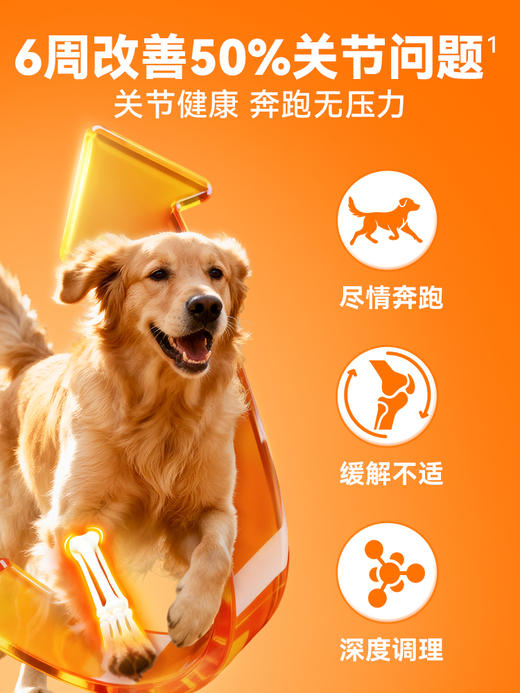 普安特舒节利软骨素狗狗猫咪用宠物关节髌骨养护骨修复软骨素补钙强化养护版 商品图4