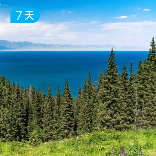伊犁夏牧场·限定小车团｜伊犁精华小环线 避开人潮的“抢跑”视角 深度解码全境森林湖泊与游牧烟火 7日 商品图4
