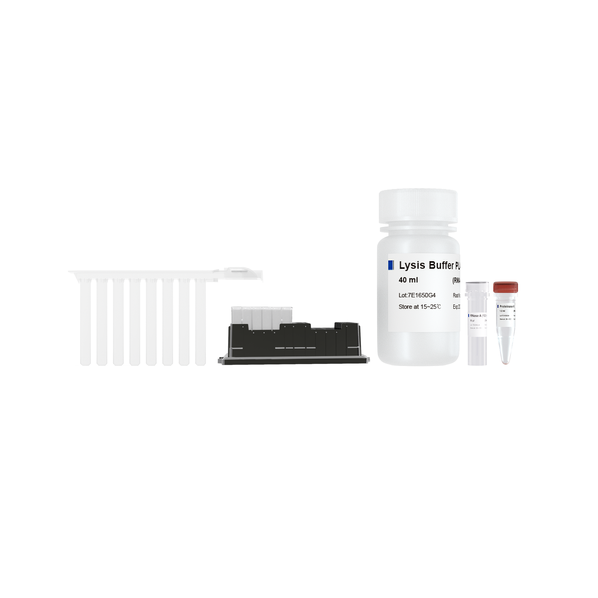 VAMNE Magnetic Universal Plant DNA Kit/VAMNE Magnetic Universal Plant DNA Kit（ Prepackaged）