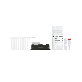 VAMNE Magnetic Universal Plant DNA Kit/VAMNE Magnetic Universal Plant DNA Kit（ Prepackaged）