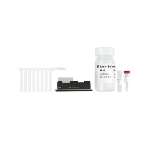 VAMNE Magnetic Universal Plant DNA Kit/VAMNE Magnetic Universal Plant DNA Kit（ Prepackaged） 商品图0