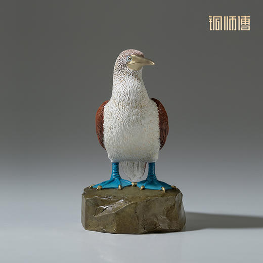 铜师傅 铜摆件《铜师傅百鸟集》之蓝脚鲣鸟 家居饰品 桌面摆件 商品图2