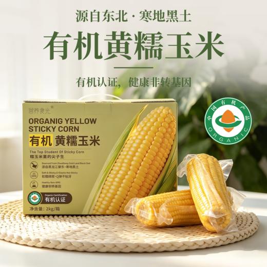 有机黄糯玉米 东北寒地黑土 有机认证 配料干净 软糯绵密 健康非转基因 商品图0