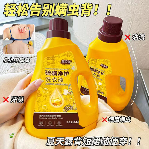 【福利❗️19.9抢10斤🔥硫磺净护洗衣液】1瓶抵洗衣液+除jun液+柔顺剂，轻松告别螨虫背，夏天露背短裙随便穿！艾叶精油5斤装洗衣液家用实惠装量批男女士硫磺深层去渍持久留香礼品 商品图0