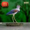 铜师傅 铜摆件《铜师傅百鸟集》之凤头距翅麦鸡 商品缩略图0